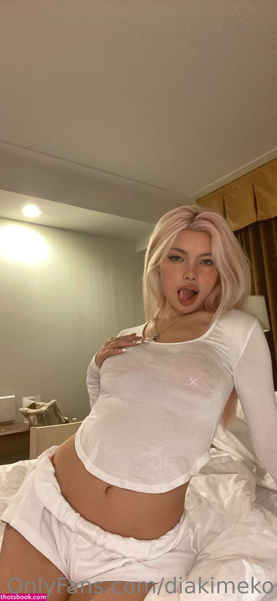 diakimeko Nude OnlyFans Photos #2 437540