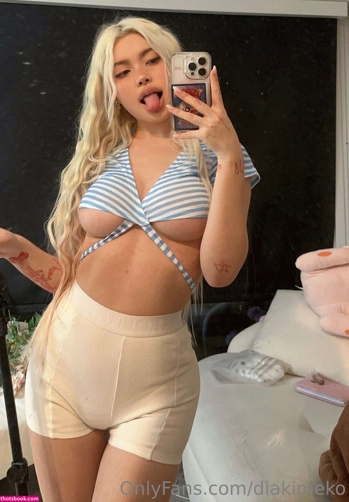 diakimeko Nude OnlyFans Photos #2 437545