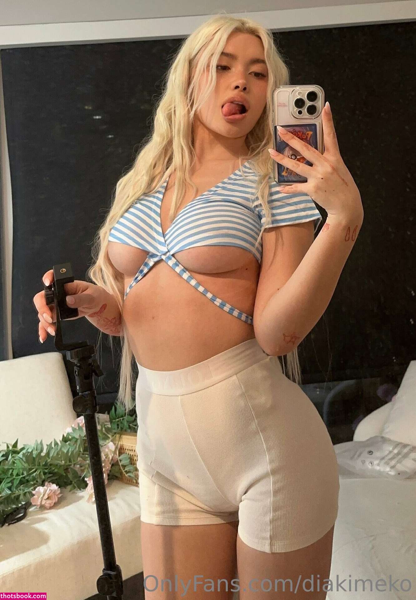 diakimeko Nude OnlyFans Photos #2 437546