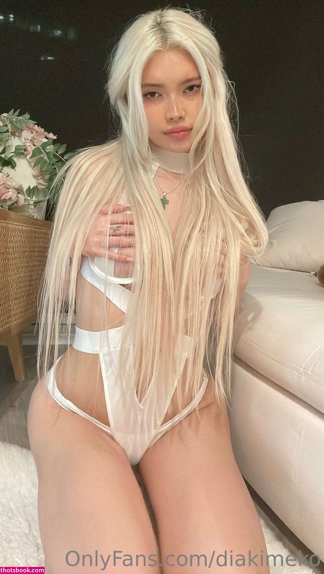 diakimeko Nude OnlyFans Photos #3 437574