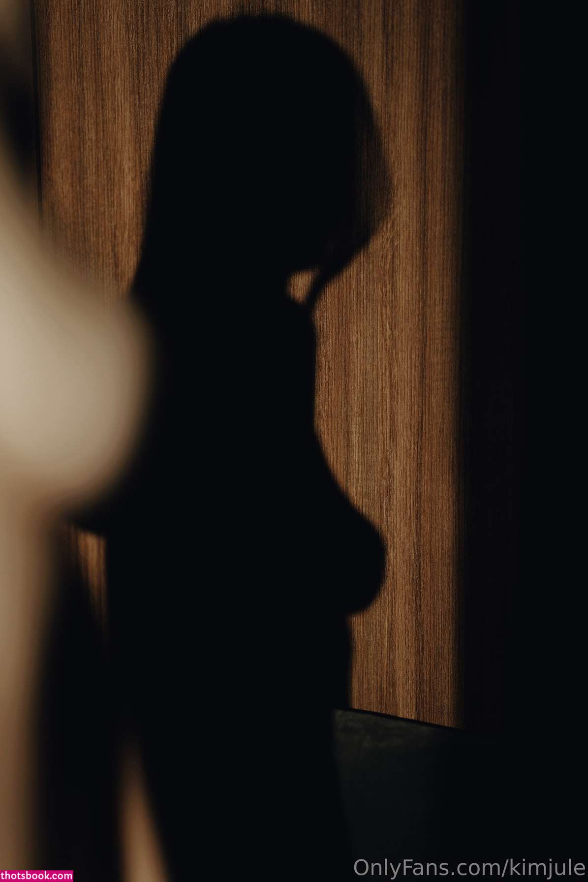 Kim Jule Nude Leaks OnlyFans Photos #4 1850451