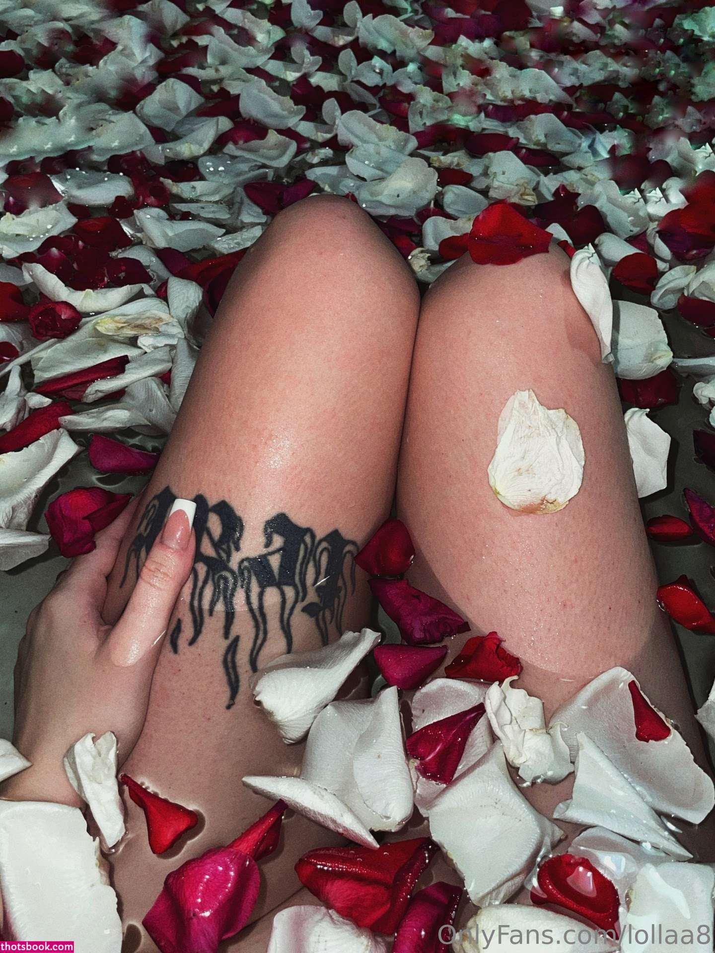 Lollaa8 Nude Leaks OnlyFans Photos #2 1716728