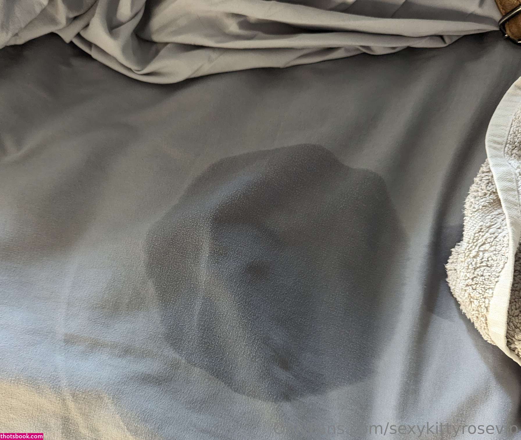 sexykittyrosevip Sexy Kitty Rose Nude Leaks OnlyFans Photos #2 1848416