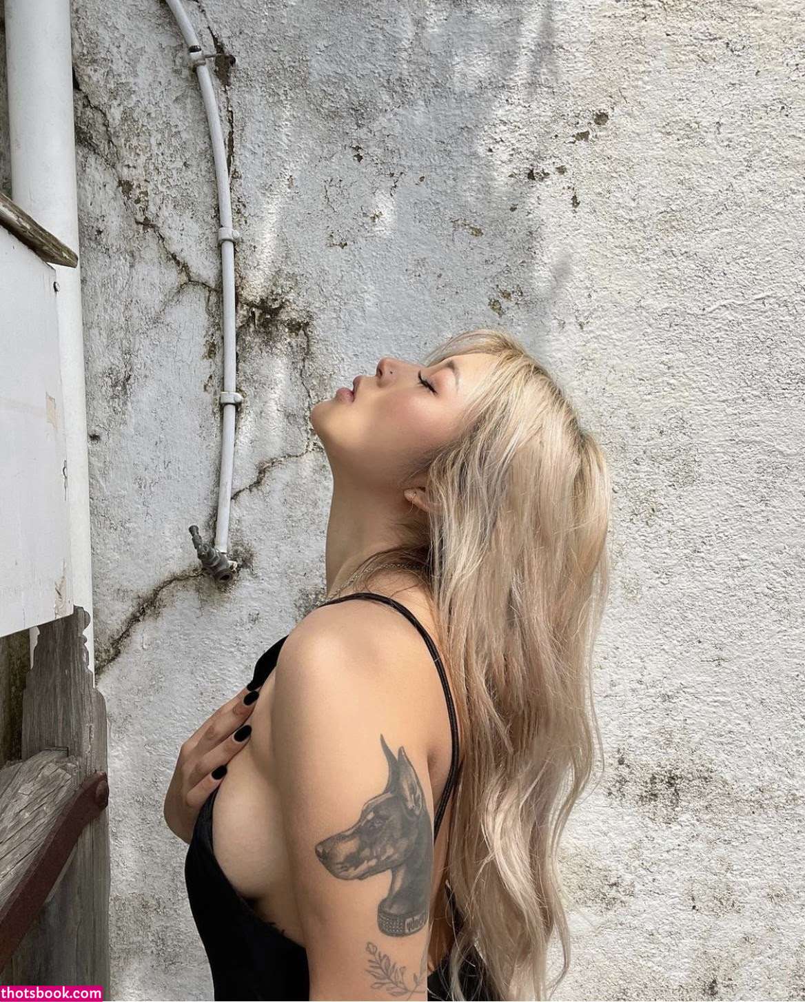 Michelle Pham Nude Leaks OnlyFans Photos #6 1829692