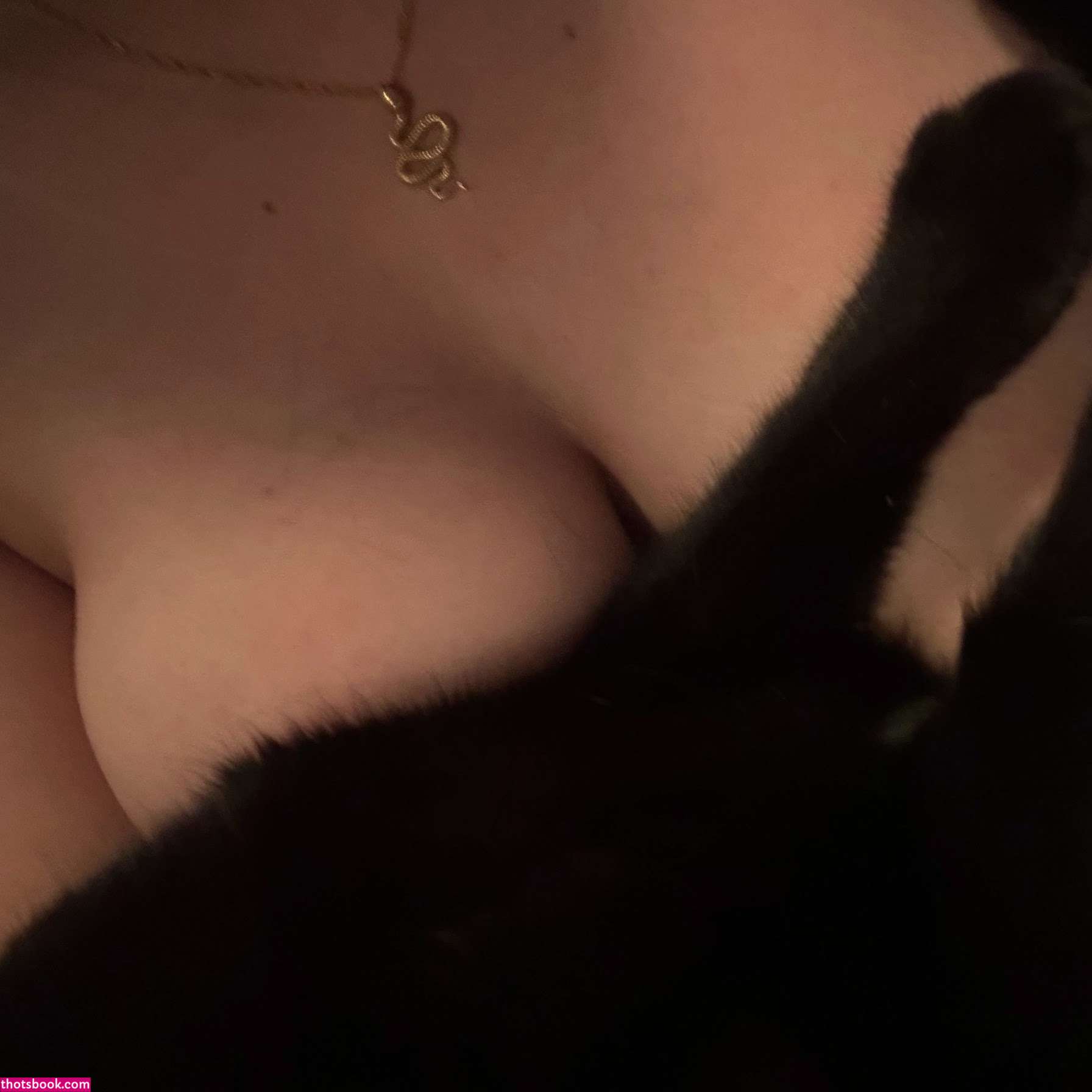 NekoPanVT DarkiPan Nude Leaks OnlyFans Photos #2 1835331