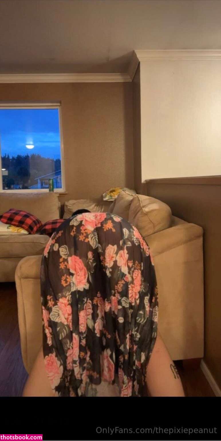 Thepixiepeanut Nude Leaks OnlyFans Photos #1 1812586