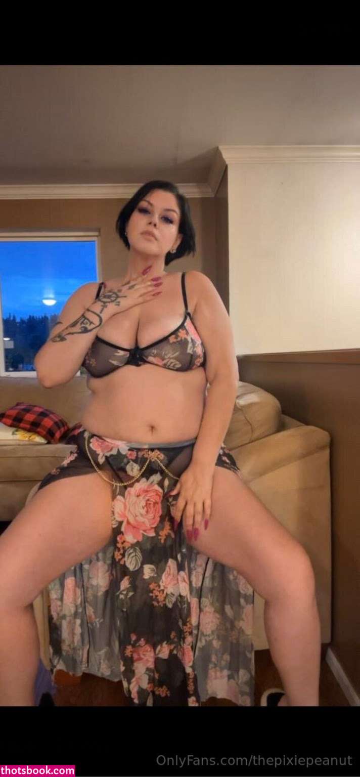 Thepixiepeanut Nude Leaks OnlyFans Photos #1 1812591